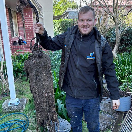 Same Day Sewer & Drain Clearing Across Springwood